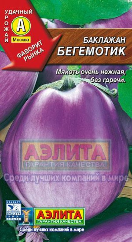 Eggplant баклажан Nord