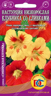 цветы Настурция Клубника со сливками низкорослая /5 шт Дем Сиб/