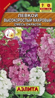 цветы Левкой Высокорослый махровый, смесь АЭЛИТА