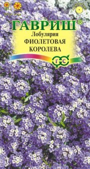 цветы Лобулярия Фиолетовая королева ГАВРИШ серия Сад ароматов