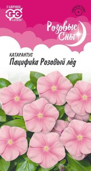 цветы Катарантус Пацифика Розовый лед ГАВРИШ