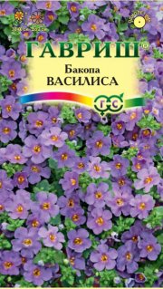 цветы Бакопа (Сутера) Василиса ГАВРИШ