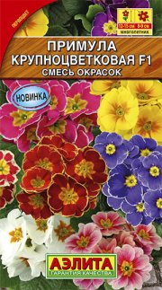 цветы Примула Крупноцветковая F1, смесь АЭЛИТА