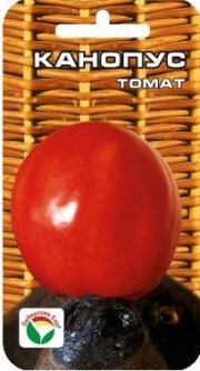 томат Канопус СибСад