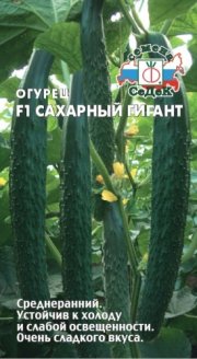 огурец Сахарный гигант F1 СЕДЕК