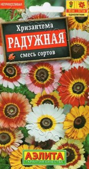 цветы Хризантема Радужная, смесь сортов АЭЛИТА