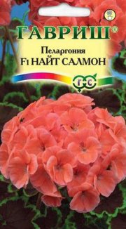 цветы Пеларгония зональная Найт Салмон ГАВРИШ