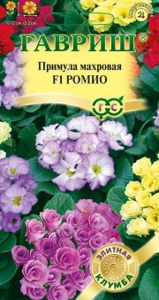 цветы Примула  Ромио махровая ГАВРИШ