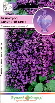 цветы Гелиотроп Морской Бриз НК (50 шт)