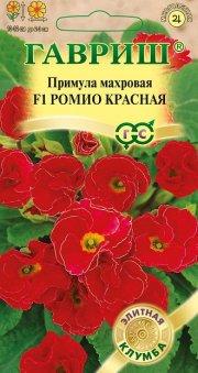 цветы Примула махровая Ромио красная ГАВРИШ
