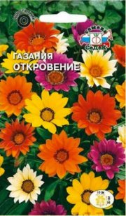 цветы Газания Откровение (смесь цветов) СЕДЕК
