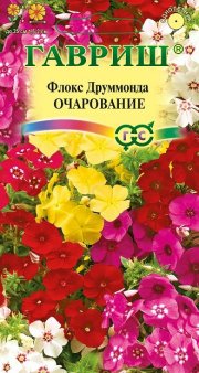 цветы Флокс Друммонда Очарование, смесь ГАВРИШ