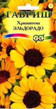 цветы Хризантема Эльдорадо ГАВРИШ