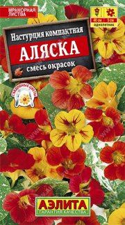 цветы Настурция Аляска, смесь карликовая АЭЛИТА