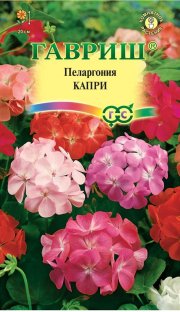 цветы Пеларгония садовая Капри ГАВРИШ