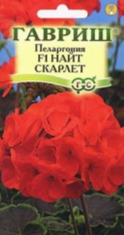 цветы Пеларгония зональная Найт Скарлет ГАВРИШ