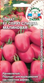 томат Спрут Сливка Малиновая СЕДЕК