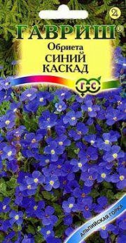 цветы Обриета Синий каскад ГАВРИШ