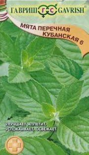 зеленные Мята перечная Кубанская 6 ГАВРИШ